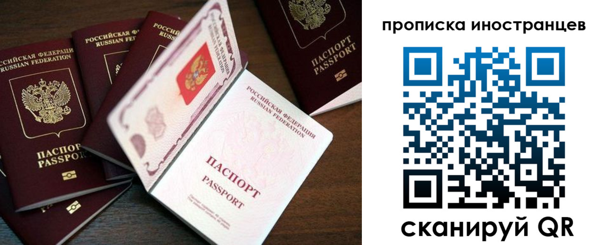 временная регистрация гарантия в Куртамыше